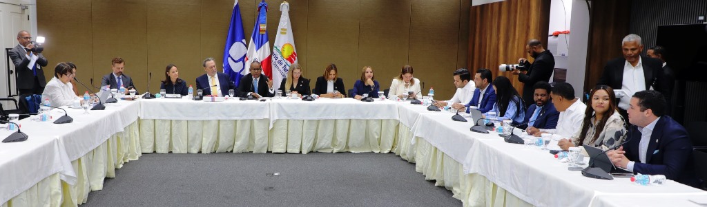 DIPUTADOS ONU