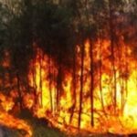 Sierra Bahoruco incendio